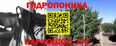 spice Кулебаки