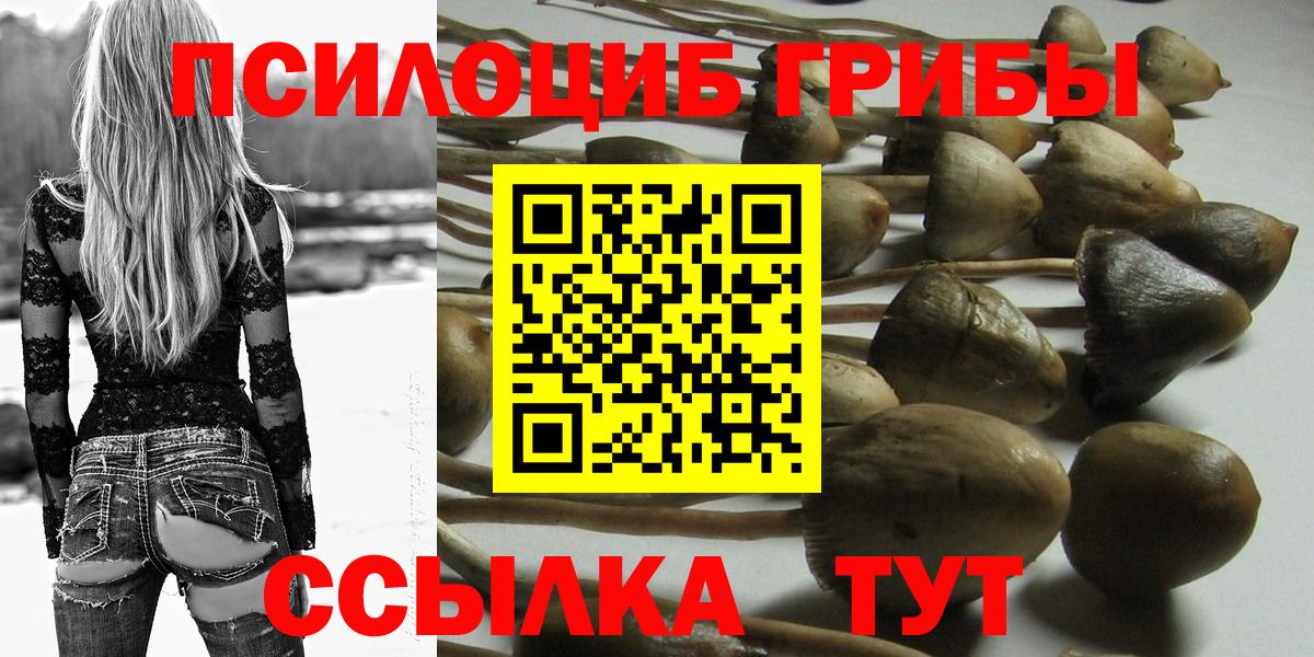 Галлюциногенные грибы мухоморы Воскресенск