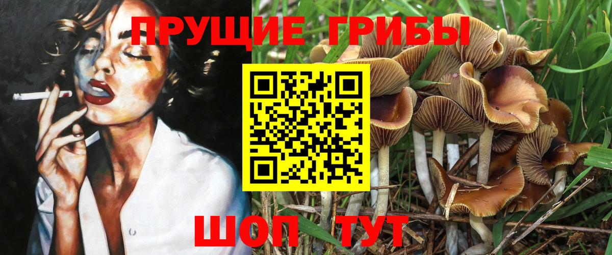 Воскресенск  Галлюциногенные грибы Psilocybine cubensis  Вход с VPN 